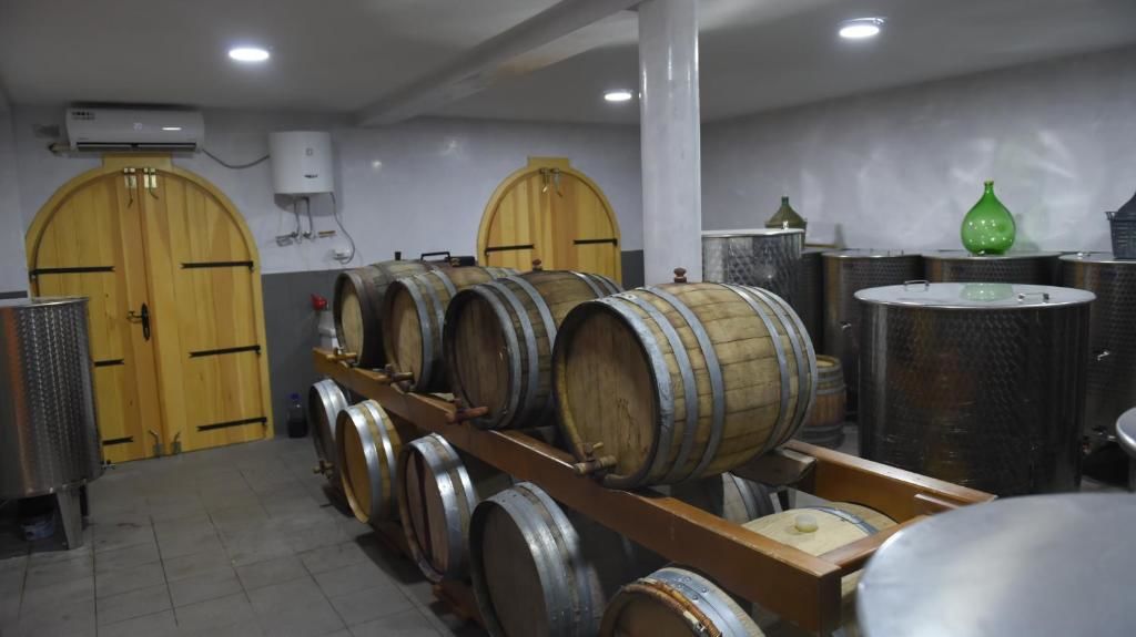 Апартаменты Djukic Winery Подгорица-47