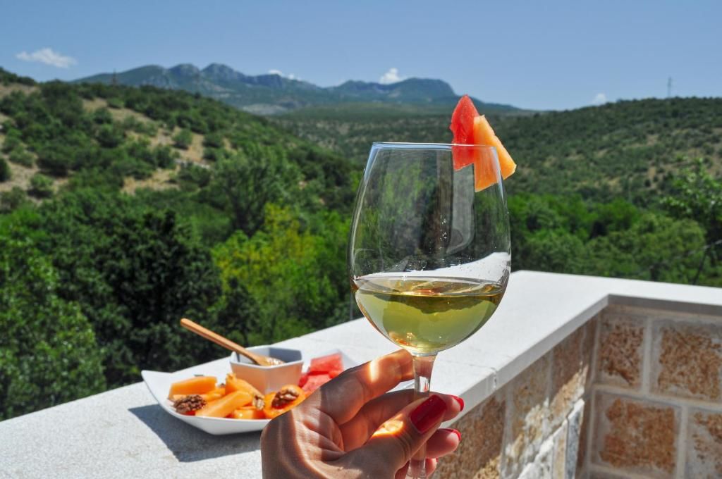 Апартаменты Djukic Winery Подгорица-63