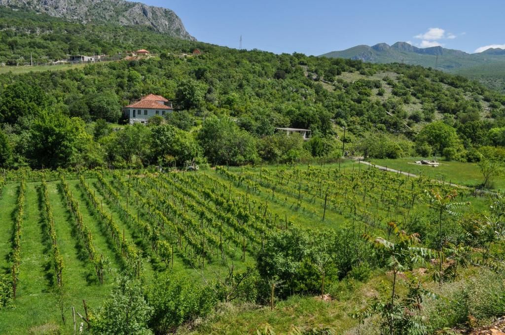 Апартаменты Djukic Winery Подгорица-66