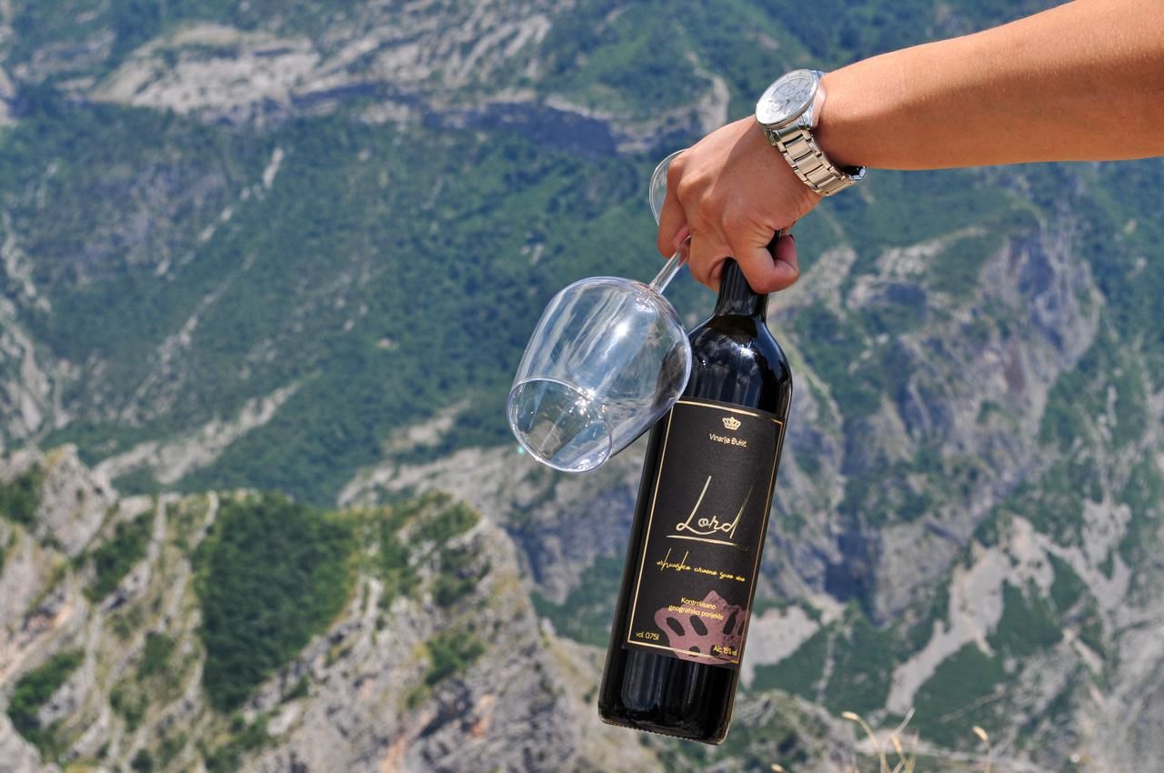 Апартаменты Djukic Winery Подгорица-10