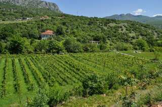 Апартаменты Djukic Winery Подгорица Апартаменты с 1 спальней-5