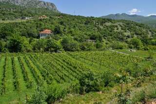 Апартаменты Djukic Winery Подгорица Апартаменты с 1 спальней-63