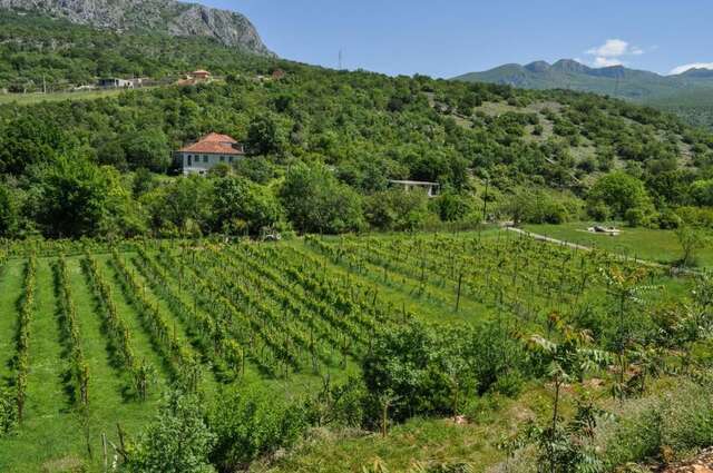 Апартаменты Djukic Winery Подгорица-65